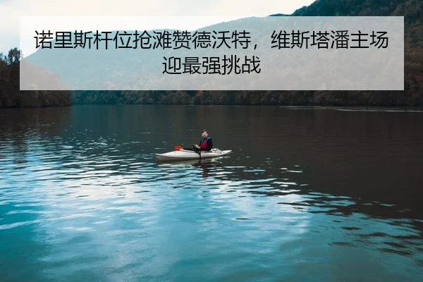 诺里斯杆位抢滩赞德沃特，维斯塔潘主场迎最强挑战
